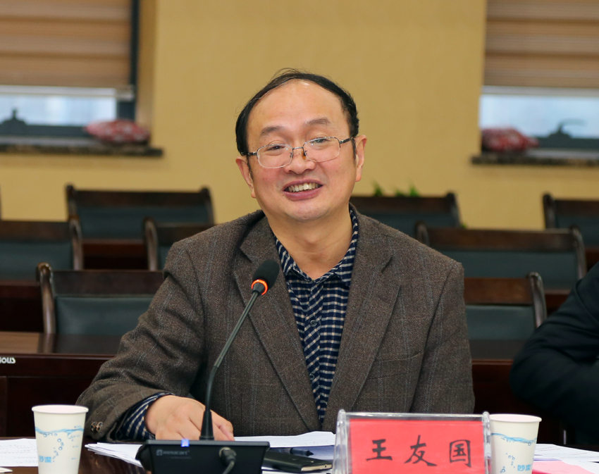 专家组组长王友国.jpg
